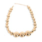 Paparazzi Accessories: Reflective Roar - Gold Necklace