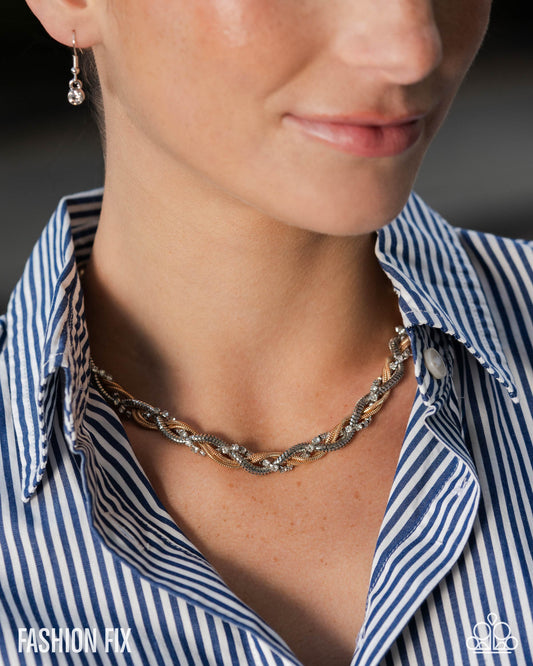 Paparazzi Accessories: Distinguished Dominance - Multi Necklace