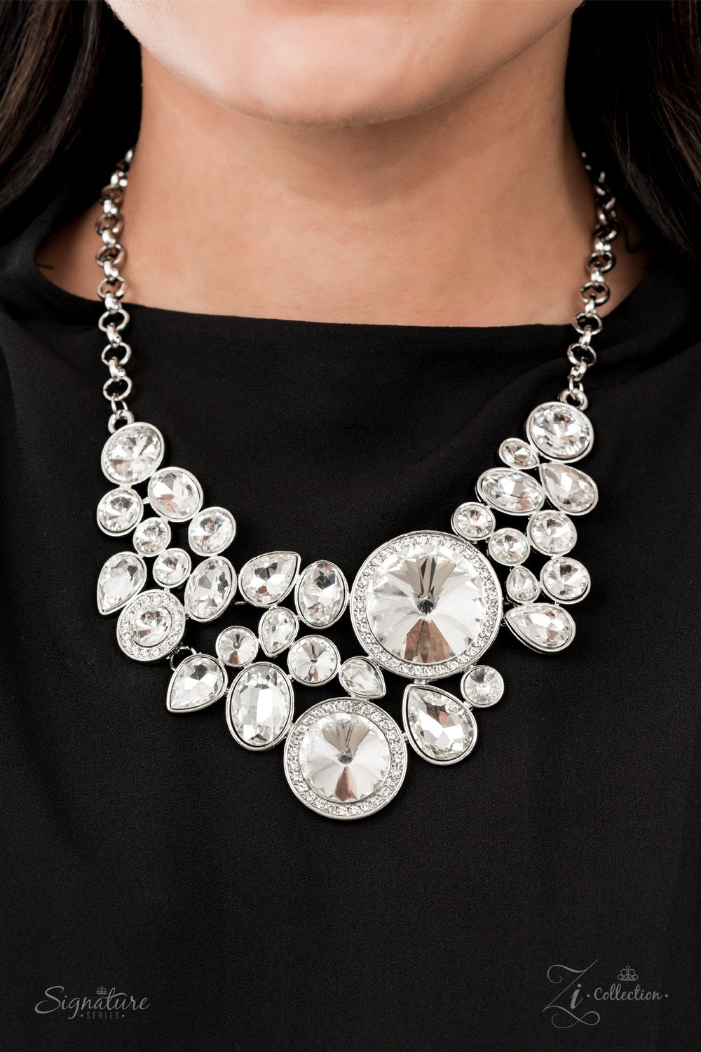 Paparazzi Accessories: The Danielle Zi Collection Necklace