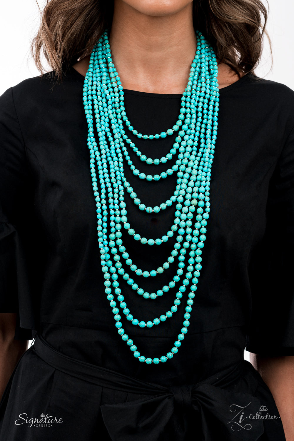 Paparazzi Accessories: The Hilary Zi Collection Necklace