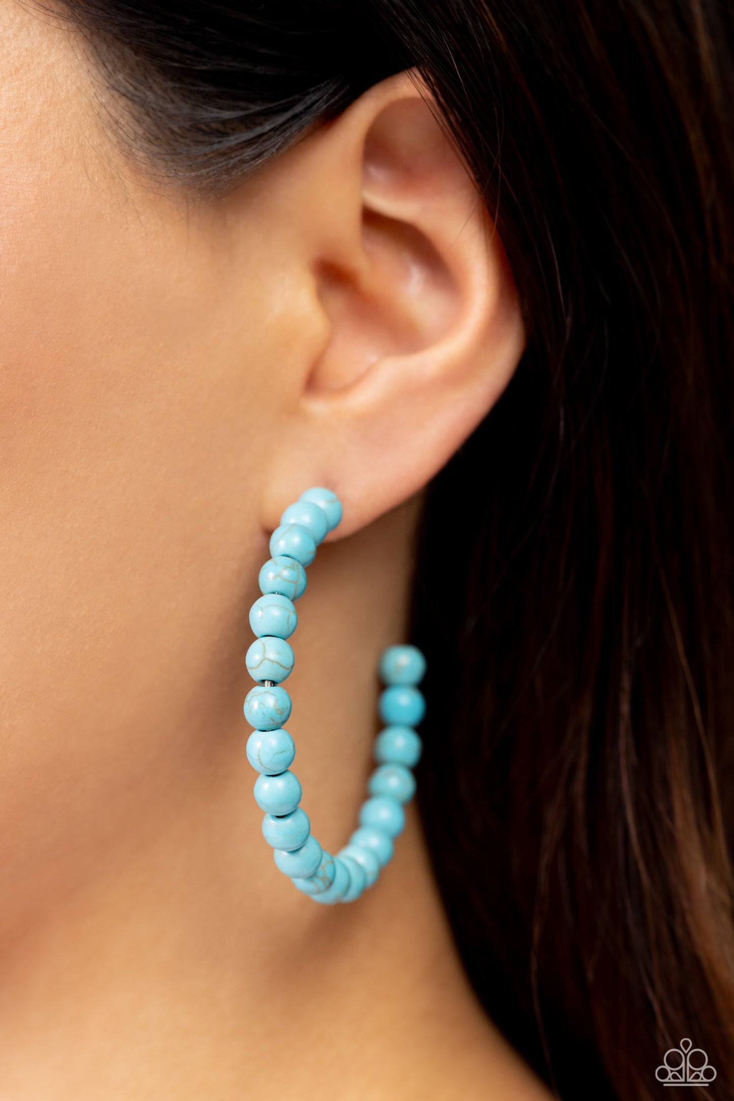 Paparazzi Accessories: Rural Retrograde - Blue Earrings