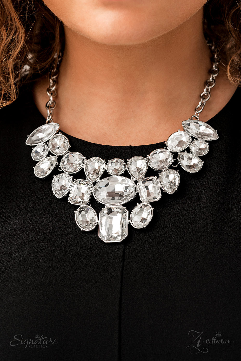 Paparazzi Accessories: The Tasha Zi Collection Necklace