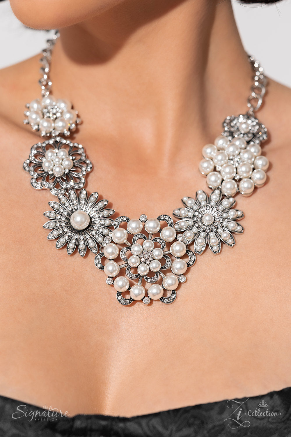 Paparazzi Accessories: The Raven Zi Collection Necklace